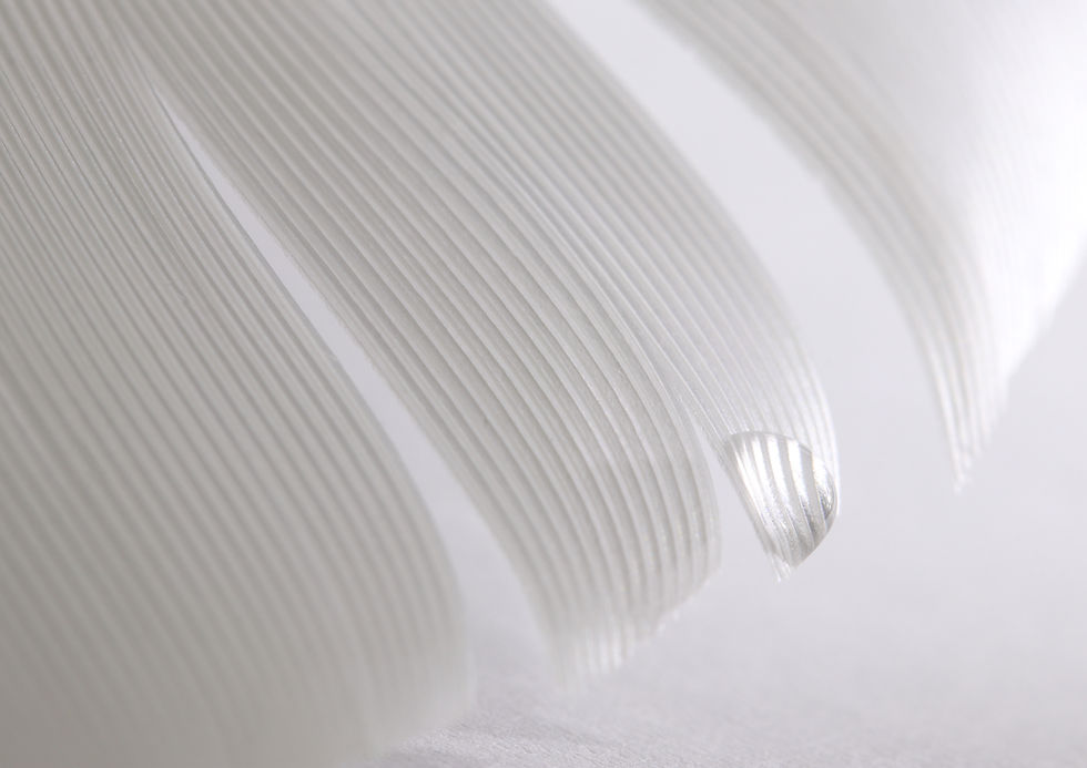 White Feather